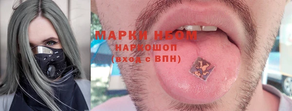 твердый Зеленодольск