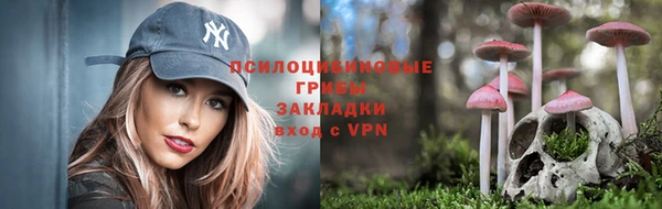 твердый Зеленодольск