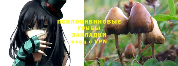 твердый Зеленодольск