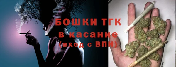 твердый Зеленодольск