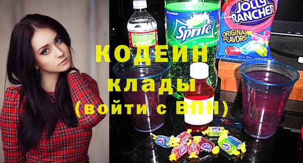 индика Зеленокумск