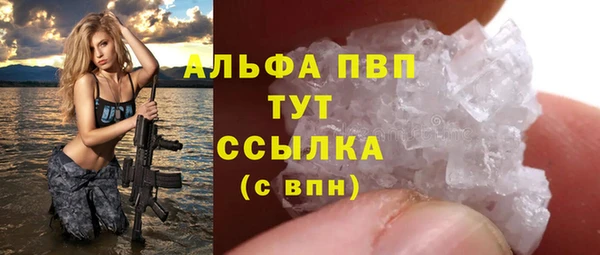 индика Зеленокумск