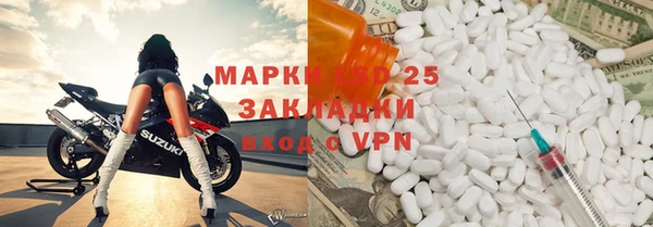 трава Тавда